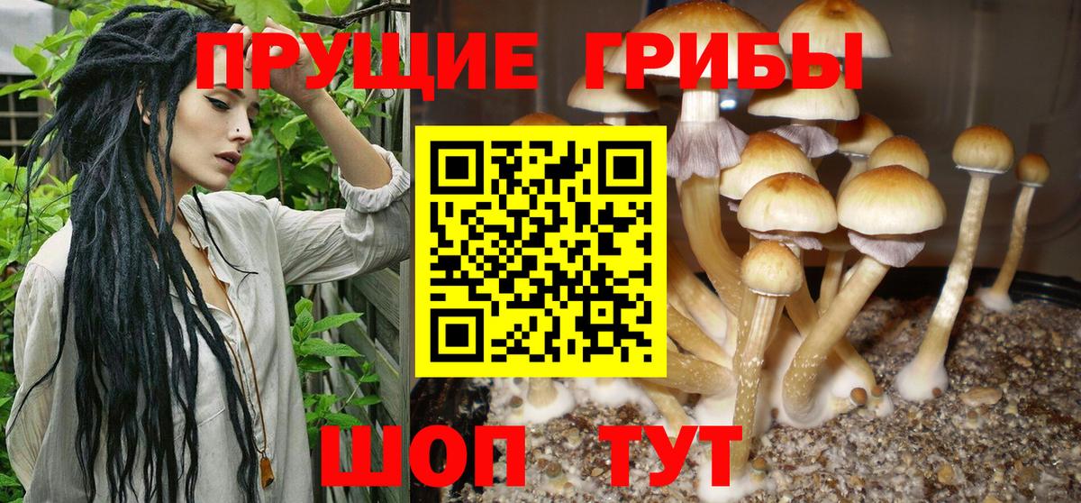 Гашиш Йошкар-Ола